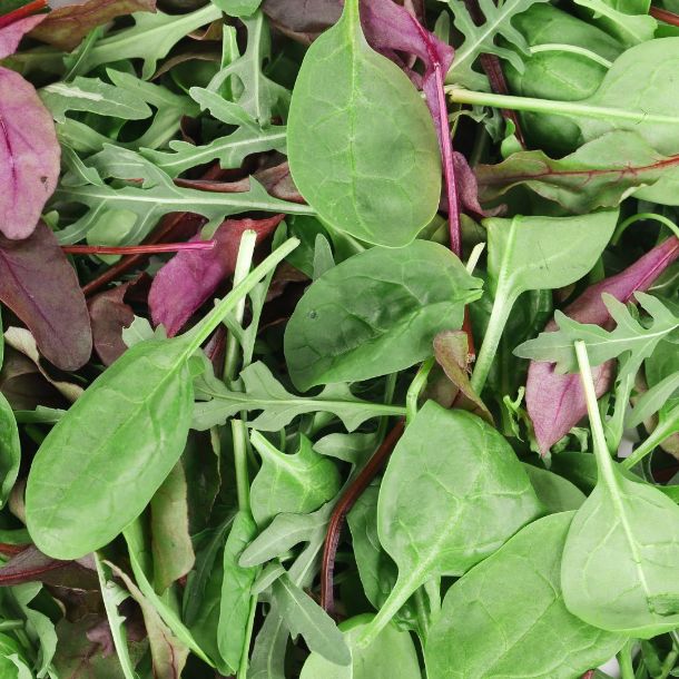 салатная смесь