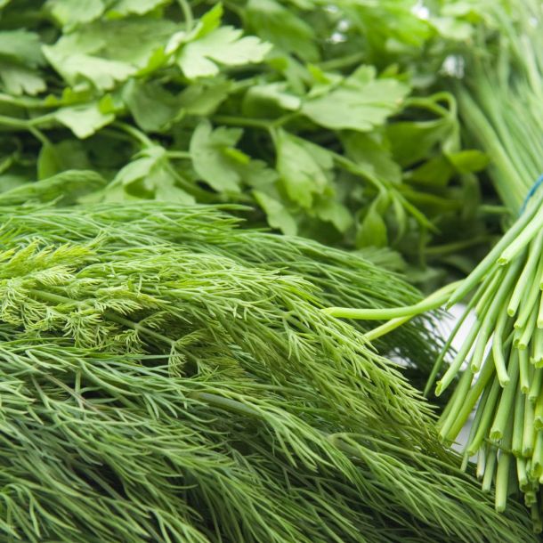 срезанная зелень укропа и петрушки