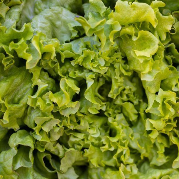 зеленый салат