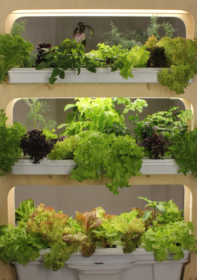 стеллаж для выращивания зелени